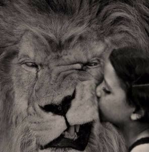 Meet your Posher, Luis